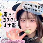 みみあ みみあ限定㊙️ 姫コレクション