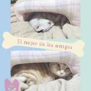 ヒメ日記 2026/02/13 19:26 投稿 水沢まなみ アラフォーna奥様 アラフィフna奥様（埼玉ハレ系）