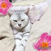 ヒメ日記 2026/02/14 18:05 投稿 水沢まなみ アラフォーna奥様 アラフィフna奥様（埼玉ハレ系）