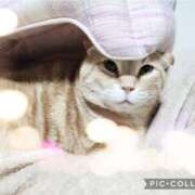 ヒメ日記 2026/02/17 00:54 投稿 水沢まなみ アラフォーna奥様 アラフィフna奥様（埼玉ハレ系）