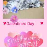 ヒメ日記 2026/02/21 23:59 投稿 水沢まなみ アラフォーna奥様 アラフィフna奥様（埼玉ハレ系）