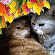 ヒメ日記 2026/02/23 02:00 投稿 水沢まなみ アラフォーna奥様 アラフィフna奥様（埼玉ハレ系）