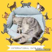 水沢まなみ 濃厚 アラフォーna奥様 アラフィフna奥様（埼玉ハレ系）