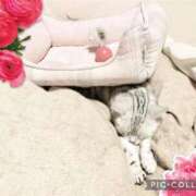 水沢まなみ お知らせ アラフォーna奥様 アラフィフna奥様（埼玉ハレ系）