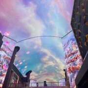 ヒメ日記 2026/02/11 17:36 投稿 りょう ドマーニ