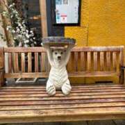 ヒメ日記 2026/02/18 10:16 投稿 りょう ドマーニ