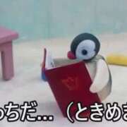 ヒメ日記 2026/02/10 16:03 投稿 ヨル【体験入店】 川崎美女革命