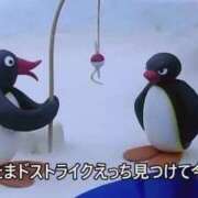 ヒメ日記 2026/02/12 20:17 投稿 ヨル【体験入店】 川崎美女革命