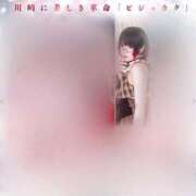 ヒメ日記 2026/02/13 19:13 投稿 ヨル【体験入店】 川崎美女革命