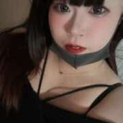 ヒメ日記 2026/02/17 21:00 投稿 しの 海物語