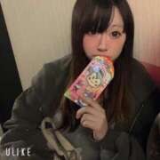 ヒメ日記 2026/02/20 03:50 投稿 しの 海物語