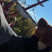 ヒメ日記 2026/02/20 13:06 投稿 しの 海物語