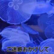 のどか ごめんなさい🙏💦 船橋桃色の妻たち