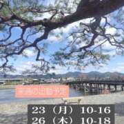 ヒメ日記 2026/03/19 21:33 投稿 一ノ瀬なな アラフォーna奥様 アラフィフna奥様（埼玉ハレ系）