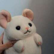 ヒメ日記 2026/03/11 13:46 投稿 めあ 多恋人 新宿店