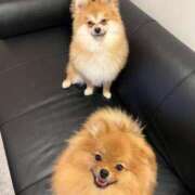 ヒメ日記 2026/03/29 12:22 投稿 めあ 多恋人 新宿店