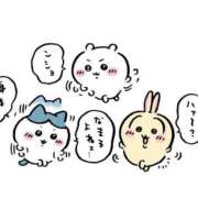 ヒメ日記 2026/02/24 12:08 投稿 あおば 宮城大崎古川ちゃんこ