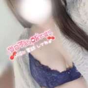 ヒメ日記 2026/02/27 11:32 投稿 あおば 宮城大崎古川ちゃんこ