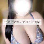 ヒメ日記 2026/05/16 14:58 投稿 あおば 宮城大崎古川ちゃんこ