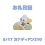 ヒメ日記 2026/05/18 10:51 投稿 あおば 宮城大崎古川ちゃんこ