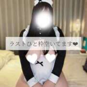 ヒメ日記 2026/09/03 16:55 投稿 あおば 宮城大崎古川ちゃんこ