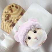 ヒメ日記 2026/04/03 14:40 投稿 星宮 すい ホットアロマ