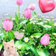 ヒメ日記 2026/04/16 13:19 投稿 星宮 すい ホットアロマ