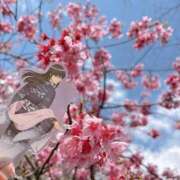 ヒメ日記 2026/03/29 12:30 投稿 さら Lolipop 横浜