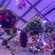 ヒメ日記 2026/03/30 12:16 投稿 さら Lolipop 横浜