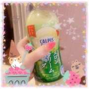 ヒメ日記 2026/03/19 00:44 投稿 もえ Lolipop 横浜