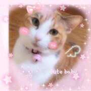 ヒメ日記 2026/03/30 21:26 投稿 もえ Lolipop 横浜