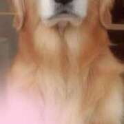 ヒメ日記 2026/03/31 19:16 投稿 川原すずか ローテンブルク