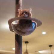 ヒメ日記 2026/04/09 22:43 投稿 川原すずか ローテンブルク