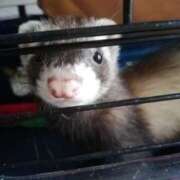 ヒメ日記 2026/03/05 13:19 投稿 まゆみ 新宿ハンドメイド