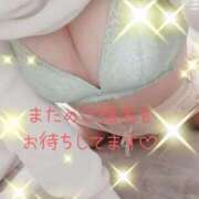 ヒメ日記 2026/03/20 22:03 投稿 あお いわき小名浜ちゃんこ