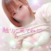 ヒメ日記 2026/03/28 14:13 投稿 あお いわき小名浜ちゃんこ