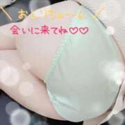 ヒメ日記 2026/04/03 16:53 投稿 あお いわき小名浜ちゃんこ