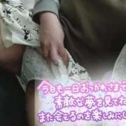 ヒメ日記 2026/04/25 23:53 投稿 あお いわき小名浜ちゃんこ