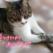 ヒメ日記 2026/06/18 09:53 投稿 あお いわき小名浜ちゃんこ