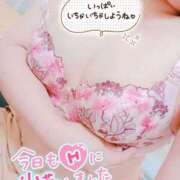 ヒメ日記 2026/10/05 09:53 投稿 あお いわき小名浜ちゃんこ
