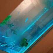 ヒメ日記 2026/02/18 12:36 投稿 あん モアグループ熊谷人妻花壇