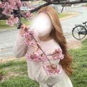 ヒメ日記 2026/03/01 13:44 投稿 きぃ Garter Princess＆Mrs（ガータープリンセス＆ミセス）