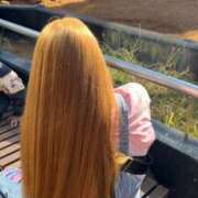 ヒメ日記 2026/09/09 14:00 投稿 きぃ Garter Princess＆Mrs（ガータープリンセス＆ミセス）
