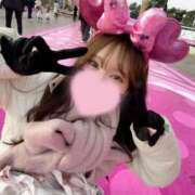 ナミ ?パルパルーザ  マテリアル