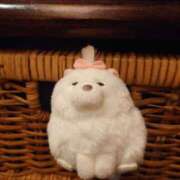 ひまり 私の相棒…？♡ なでし娘