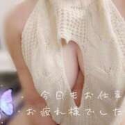 ヒメ日記 2026/02/18 23:38 投稿 ひまり なでし娘