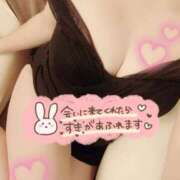 ヒメ日記 2026/03/27 09:17 投稿 ひまり なでし娘