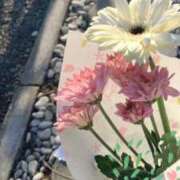 ヒメ日記 2026/02/19 10:38 投稿 せな【性感】 性感エステBianca豊中店