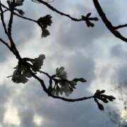 紺藤 今日の紺藤 -十恋人- 十恋人～トレンド～