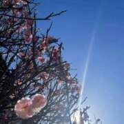 紺藤 紺❤️2月19日 十恋人～トレンド～